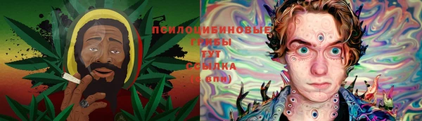 гидра Покров