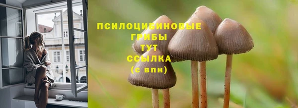 экстази Покачи
