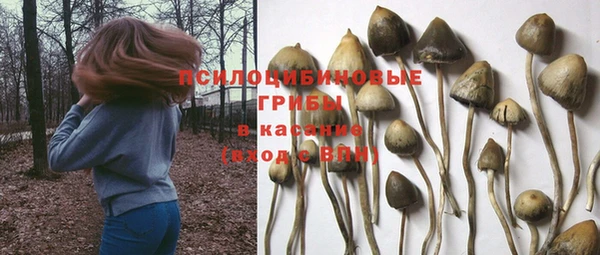 экстази Покачи