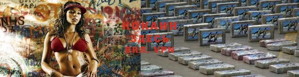 гидра Покров